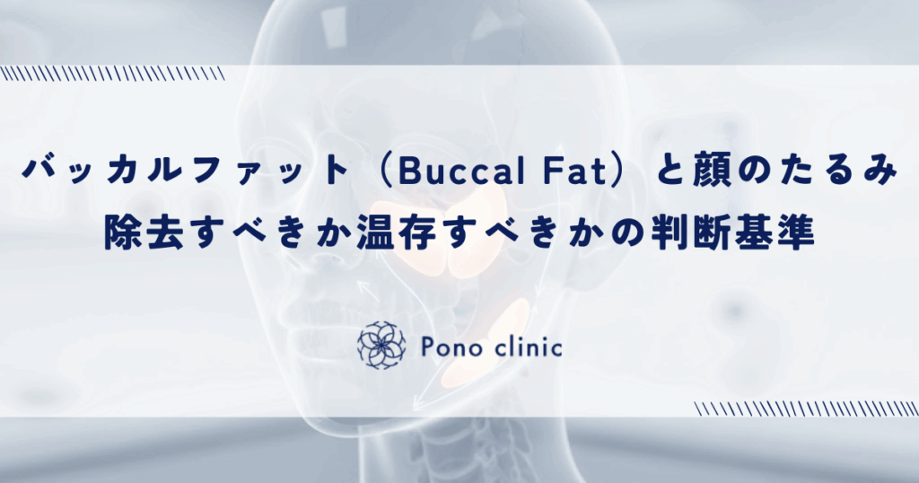 バッカルファット（Buccal Fat）と顔のたるみ｜除去すべきか温存すべきかの判断基準
