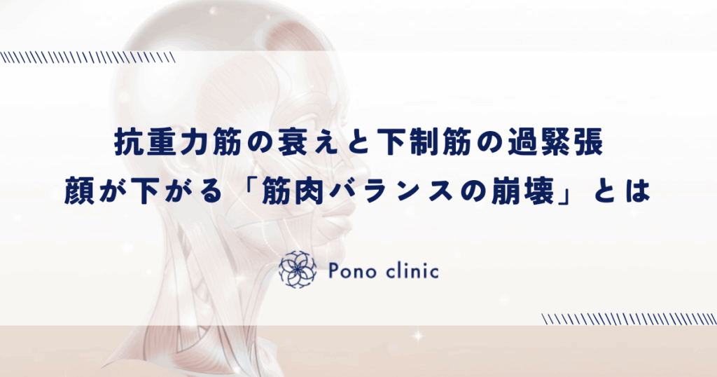 抗重力筋の衰えと下制筋の過緊張｜顔が下がる「筋肉バランスの崩壊」とは