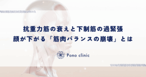 抗重力筋の衰えと下制筋の過緊張｜顔が下がる「筋肉バランスの崩壊」とは