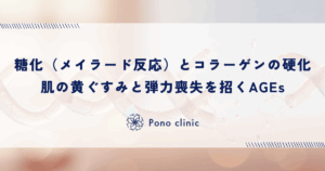 糖化（メイラード反応）とコラーゲンの硬化｜肌の黄ぐすみと弾力喪失を招くAGEs