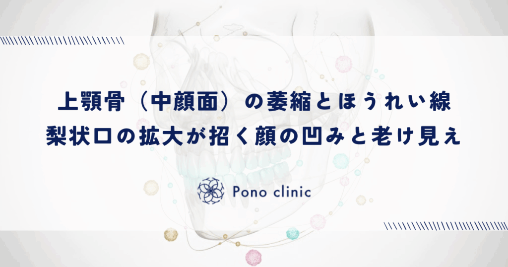 上顎骨（中顔面）の萎縮とほうれい線｜梨状口の拡大が招く顔の凹みと老け見え