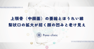 上顎骨（中顔面）の萎縮とほうれい線｜梨状口の拡大が招く顔の凹みと老け見え