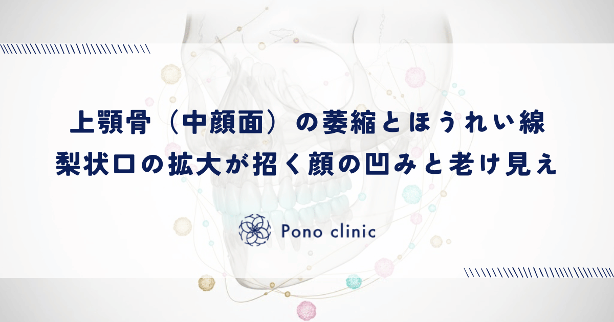 上顎骨（中顔面）の萎縮とほうれい線｜梨状口の拡大が招く顔の凹みと老け見え