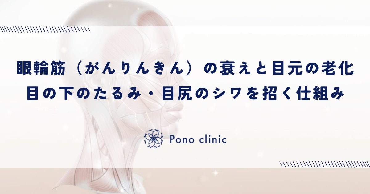 眼輪筋（がんりんきん）の衰えと目元の老化｜目の下のたるみ・目尻のシワを招く仕組み