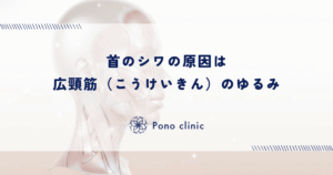 広頸筋（こうけいきん）のゆるみと首のシワ｜顔の皮膚を下に引っ張る「首の筋肉」