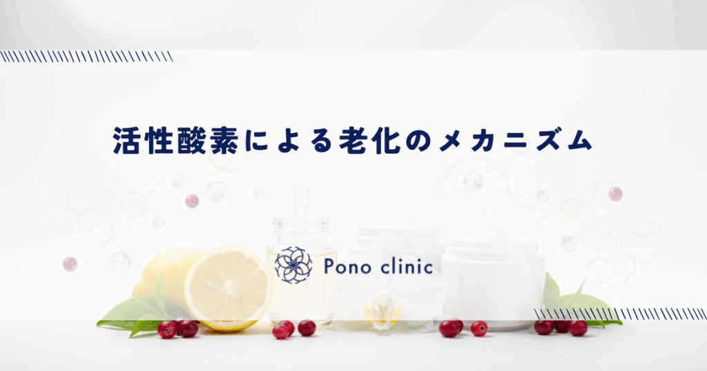 活性酸素による細胞の酸化とDNAへのダメージ｜肌のサビが招く老化のメカニズム