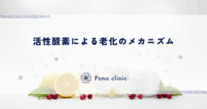 活性酸素による細胞の酸化とDNAへのダメージ｜肌のサビが招く老化のメカニズム