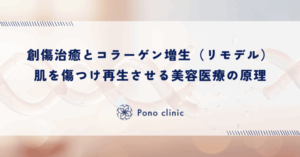 創傷治癒とコラーゲン増生（リモデル）｜あえて肌を傷つけ再生させる美容医療の原理