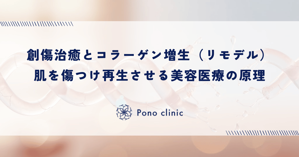 創傷治癒とコラーゲン増生（リモデル）｜あえて肌を傷つけ再生させる美容医療の原理