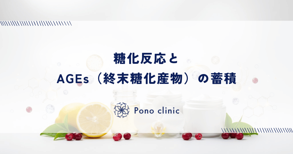 糖化反応とAGEs（終末糖化産物）の蓄積｜余分な糖がタンパク質を変性させる過程