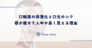 口輪筋（こうりんきん）の菲薄化と口元のシワ｜唇が痩せて人中が長く見える理由