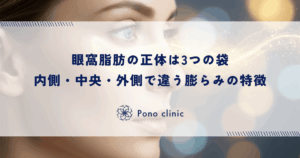 眼窩脂肪の正体は3つの袋（コンパートメント）｜内側・中央・外側で違う膨らみの特徴